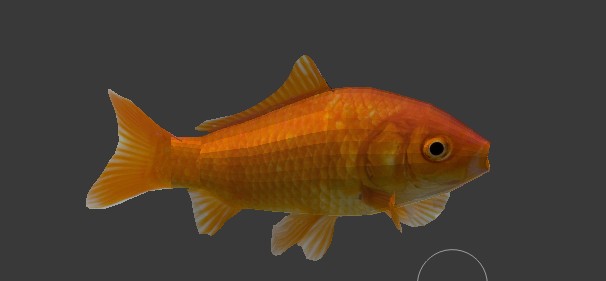 fish preview image 2